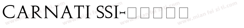 Carnati SSi字体转换